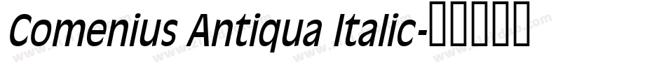 Comenius Antiqua Italic字体转换